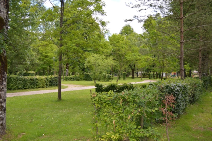 Emplacement Confort
