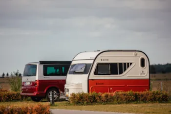 Stellplatz - Stellplatz Standard (A001 -A093) - Prima Camping Resort Ostsee-Boddenblick  Stellplatz - Stellplatz Standard (A001 -A093) - Prima Camping Resort Ostsee-Boddenblick