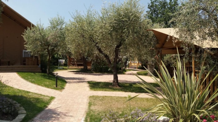 Safari Lodge