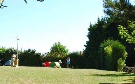 Stellplatz - Stellplatz Zelt Ohne Strom + Fahrzeug - Flower Camping Vitamin