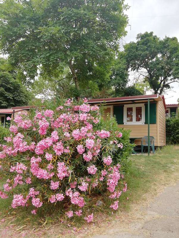 Mietunterkunft - Mobilheim Mit Ein Zimmer - Camping Village Internazionale Firenze