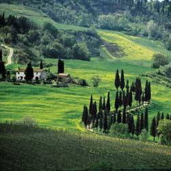 Région élargie Camping Village Panoramico Fiesole - Fiesole Région élargie Camping Village Panoramico Fiesole - Fiesole