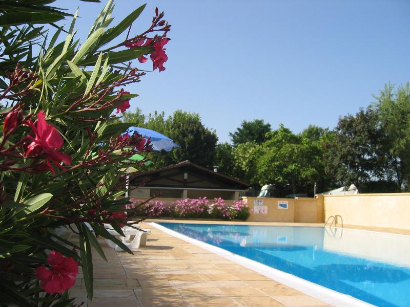 Baignade Flower Camping Le Temps De Vivre - Salignac Eyvigues Baignade Flower Camping Le Temps De Vivre - Salignac Eyvigues