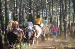 Domaine résidentiel naturiste La Jenny - image n°38 - Roulottes