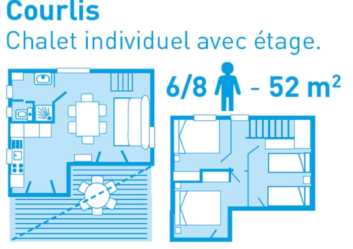 Courlis