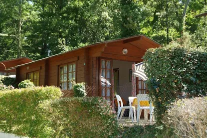 Studio Bois Forêt (Eco) Studio Bois Forêt (Eco)
