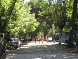 Location - Caravane 'S' + Voiture - Camping Piomboni SRL