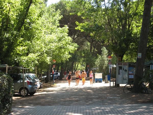 Location - Caravane 'L+ ' + Voiture - Camping Piomboni SRL