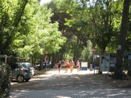 Location - Caravane 'M' + Voiture - Camping Piomboni SRL