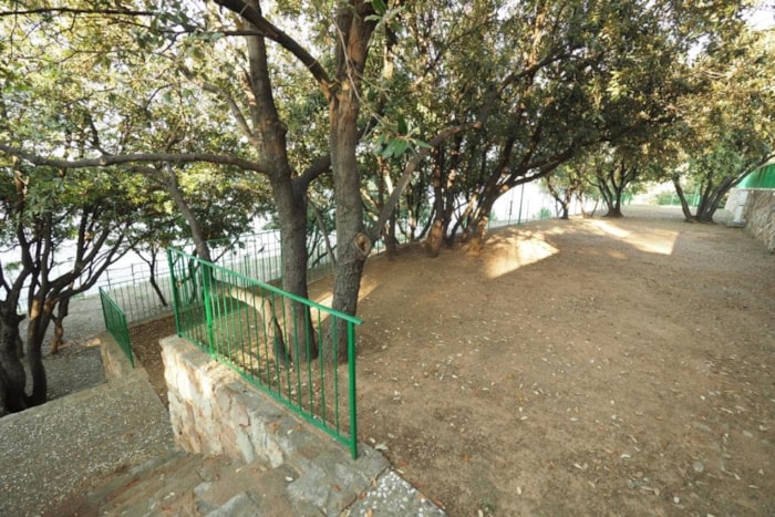 Piazzola Tenda Media