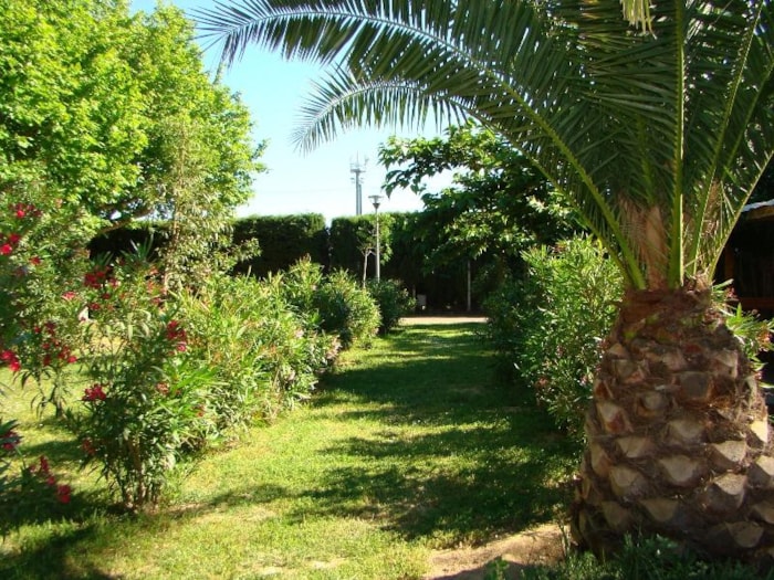 Chalet 2010 - 3 Habitaciones (2010)