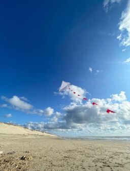 Airotel Camping de La Côte d'Argent - image n°24 - Roulottes