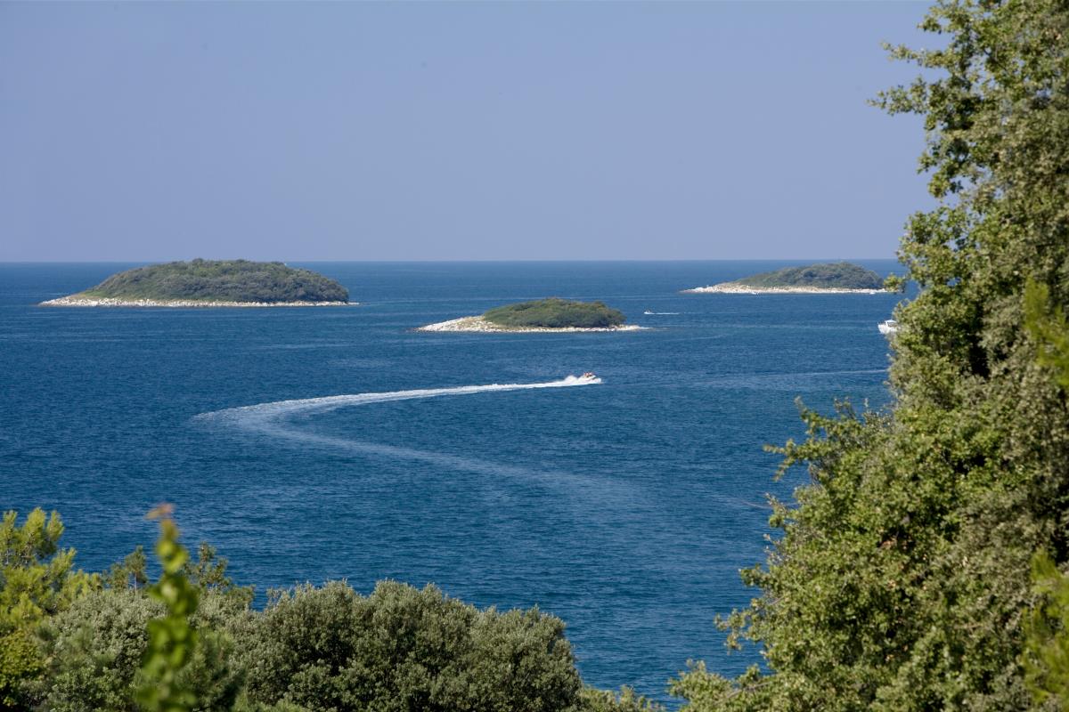 Pitch - Pitch Comfort - Orsera Camping Resort by Valamar Pitch - Pitch Comfort - Orsera Camping Resort by Valamar