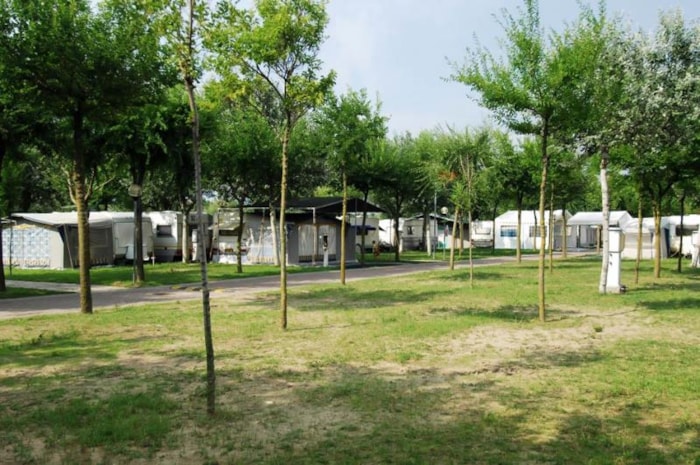 Piazzola (Tenda Canadese) Piazzola (Tenda Canadese)