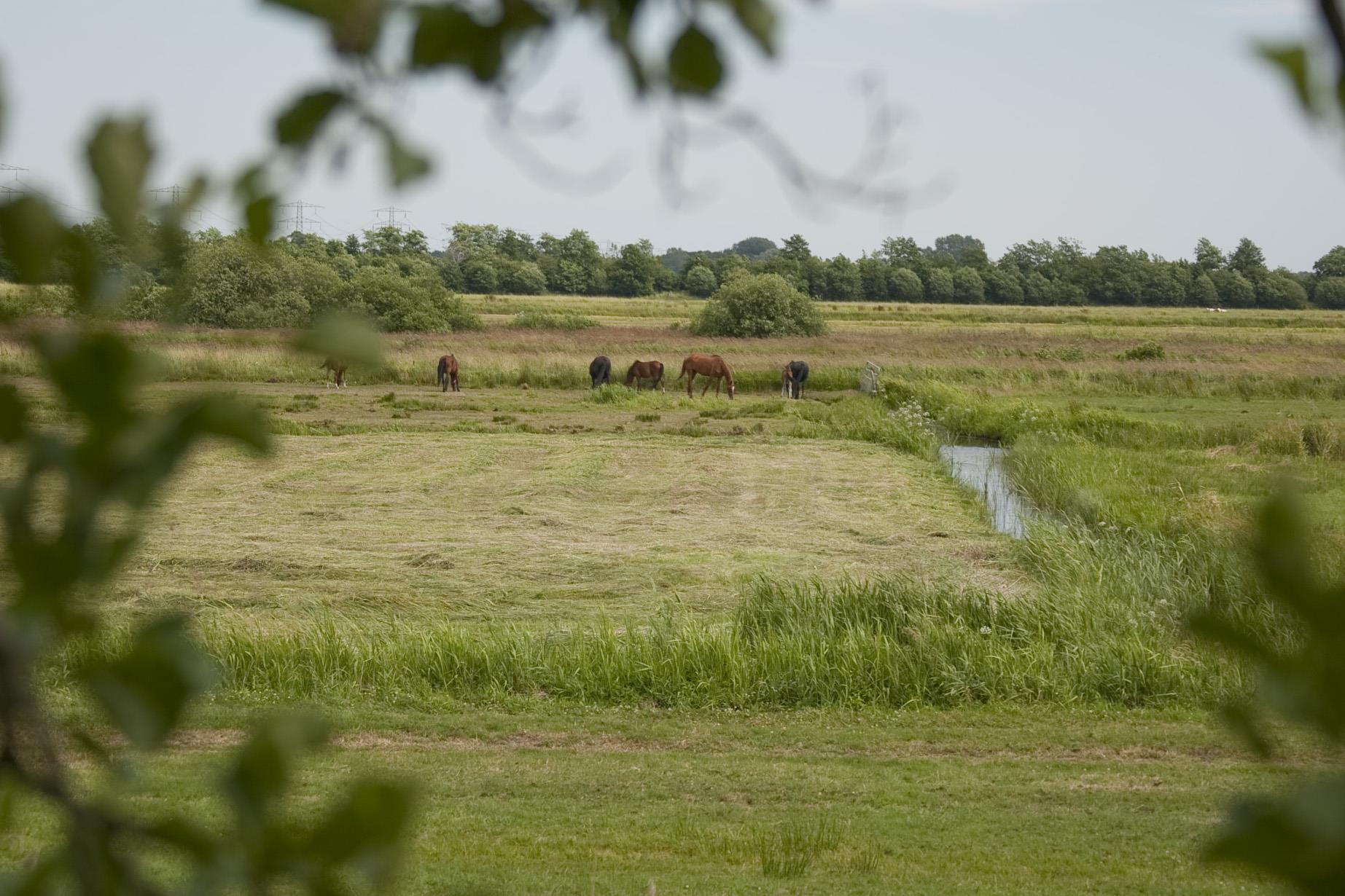 Region Camping 'T Strandheem - Opende Region Camping 'T Strandheem - Opende