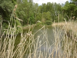 Établissement Le Cattiaux Camping - Courdimanche Sur Essonne Établissement Le Cattiaux Camping - Courdimanche Sur Essonne