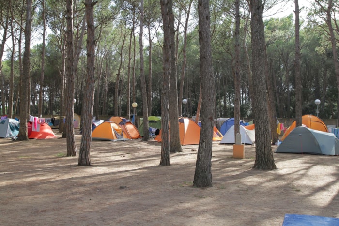 Piazzola : Auto + Tenda/Roulotte O Camper