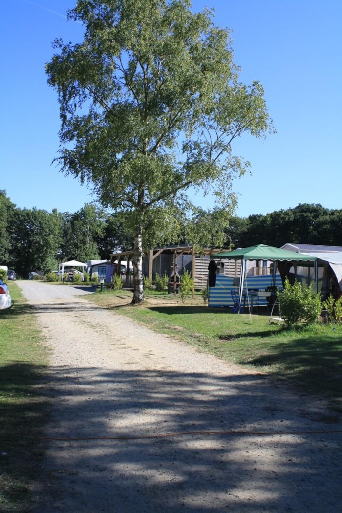 Piazzola Confort (1 Tenda, Roulotte, Camper / 1 Auto / Elettricità 6A)