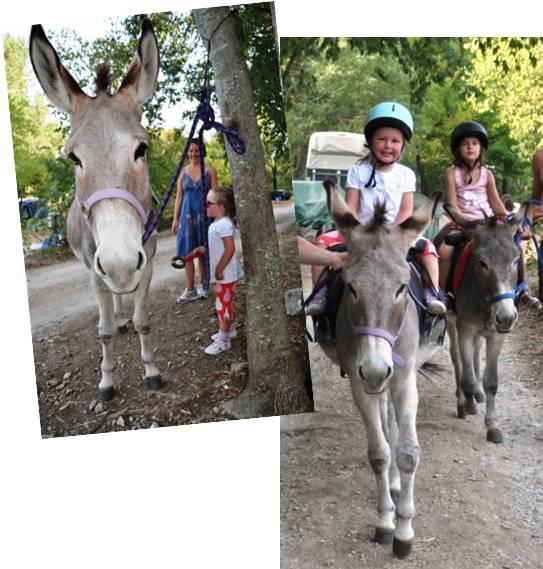 Leisure Activities Camping De L'arche - Lanas Leisure Activities Camping De L'arche - Lanas
