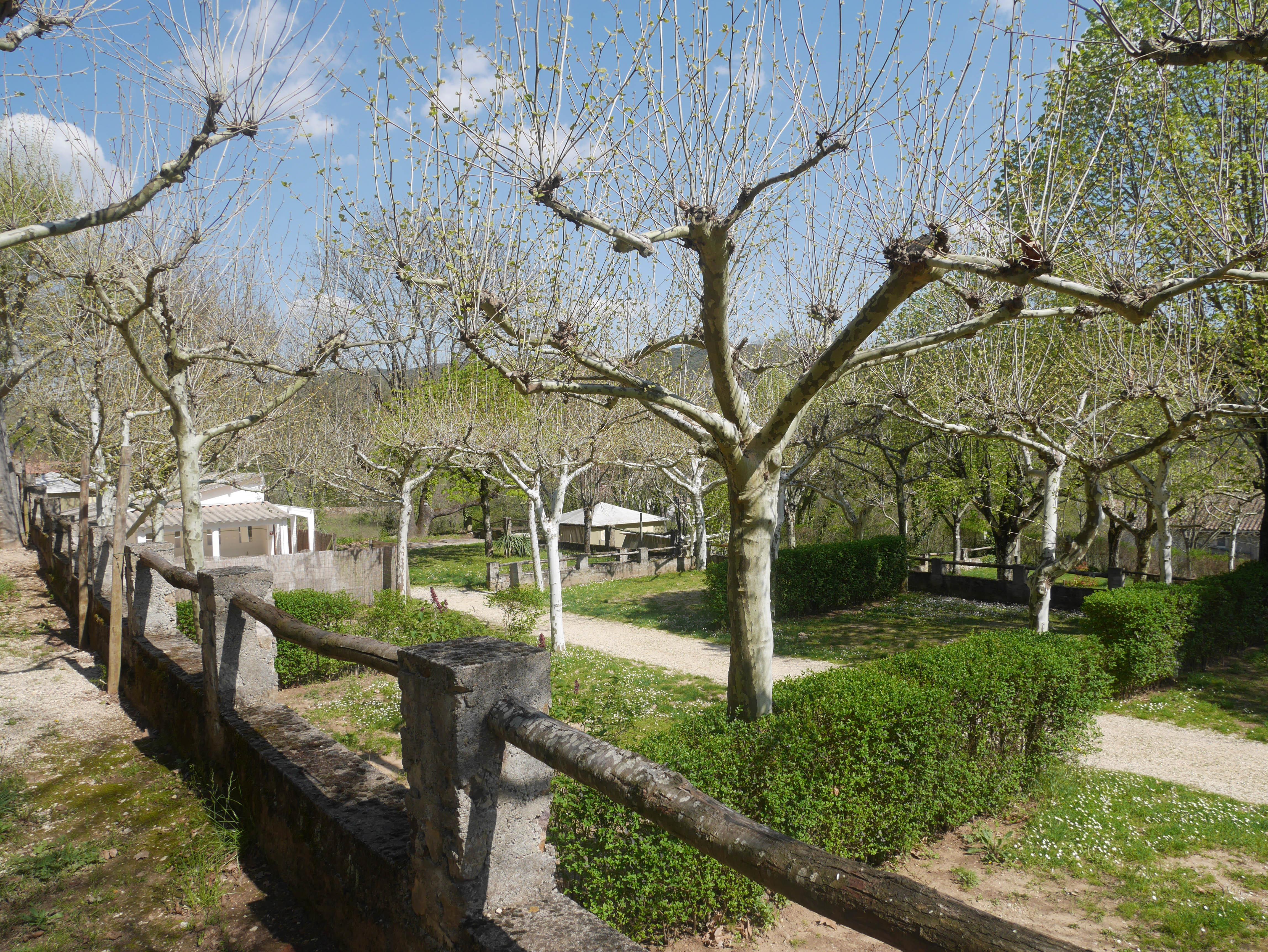 Emplacement - Forfait Camping-Caravaning : 1 Emplacement Pour 2 Personnes Avec 1 Véhicule - CAMPING LE VIEUX VALLON