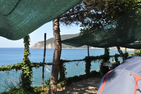 Piazzole - Piazzola Tenda Grande - Camping Il Rospo
