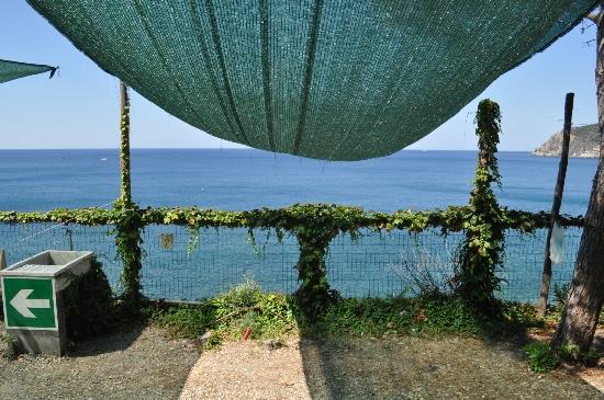 Piazzole - Piazzola Tenda Grande - Camping Il Rospo