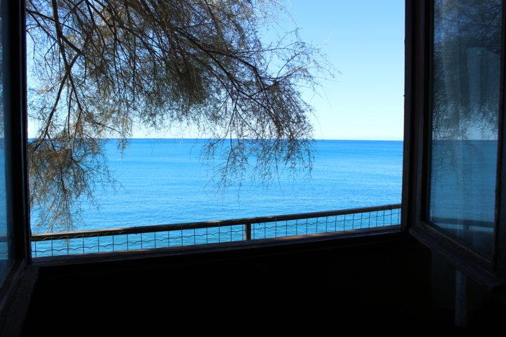 Accommodation - Bungalow - Camping Il Rospo
