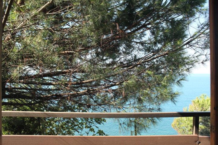 Accommodation - Bungalow - Camping Il Rospo