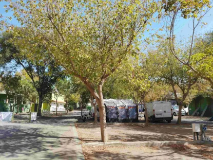 Piazzola Grande, 1 Camper O 1 Auto + 1 Tenda/Roulotte + 2 Adulti Piazzola Grande, 1 Camper O 1 Auto + 1 Tenda/Roulotte + 2 Adulti