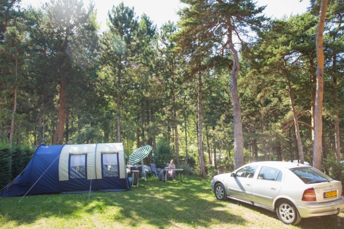 Piazzola Nature - Più Di 150M ² (Con Elettricità)