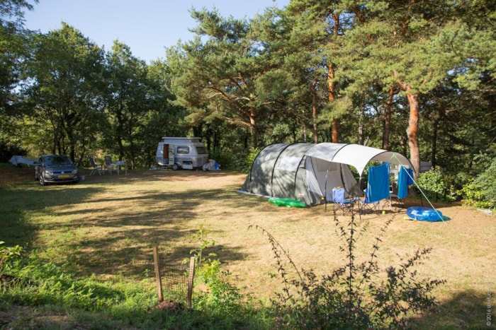 Pitches Standard - Over 100 Sqm