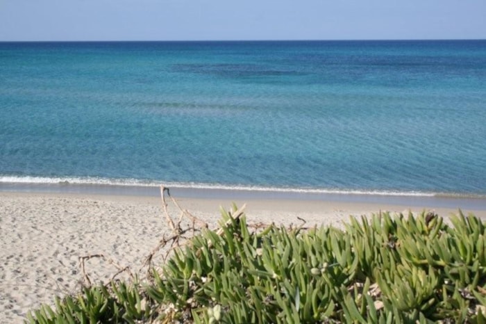 Roulotte Camping Da Affittare