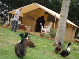 Location - Tente Cotton Lodge Nature 20 M² Avec Terrasse Bois - Sans Sanitaires - Sites et Paysages Au Clos de la Chaume
