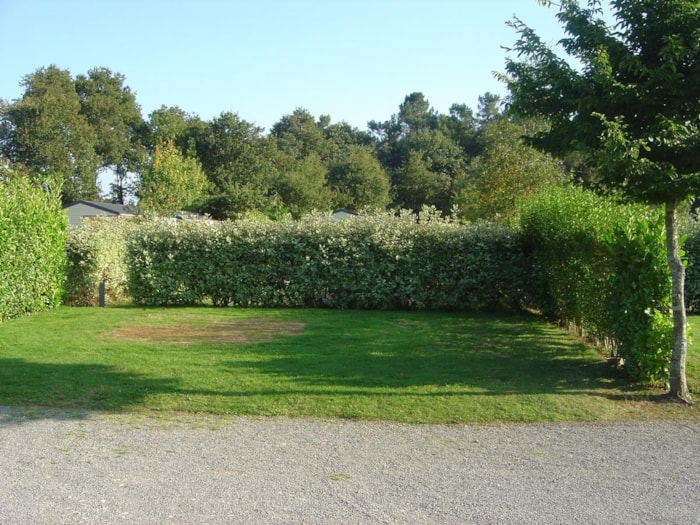 Piazzola Con Elettricità 6A