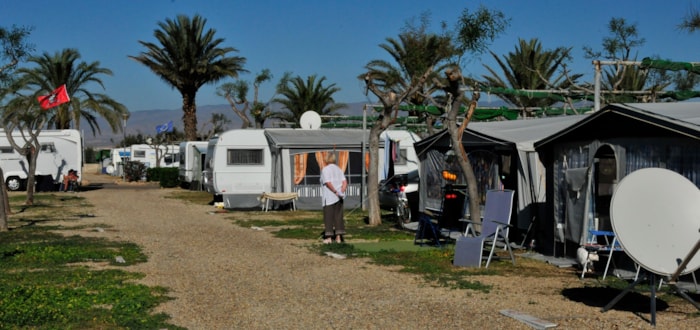 Parcela Comfort 70 M² (Vehículo + Tienda/Caravana/Autocaravana + Toma De Agua Y Desagüe) Parcela Comfort 70 M² (Vehículo + Tienda/Caravana/Autocaravana + Toma De Agua Y Desagüe)