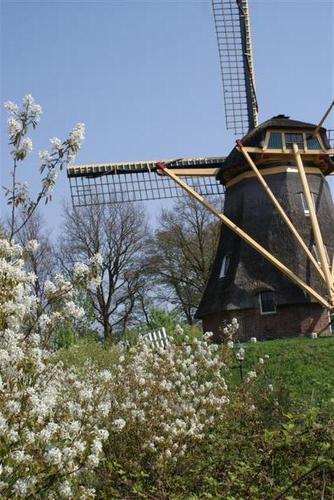 Région De Koeksebelt - Ommen Région De Koeksebelt - Ommen