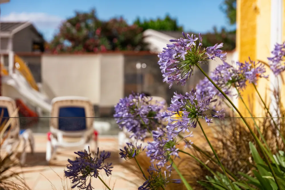 Chadotel Le Roussillon Chadotel Le Roussillon - image n°1 - Camping2Be
