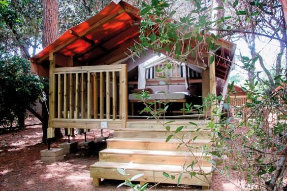 Mini Lodge