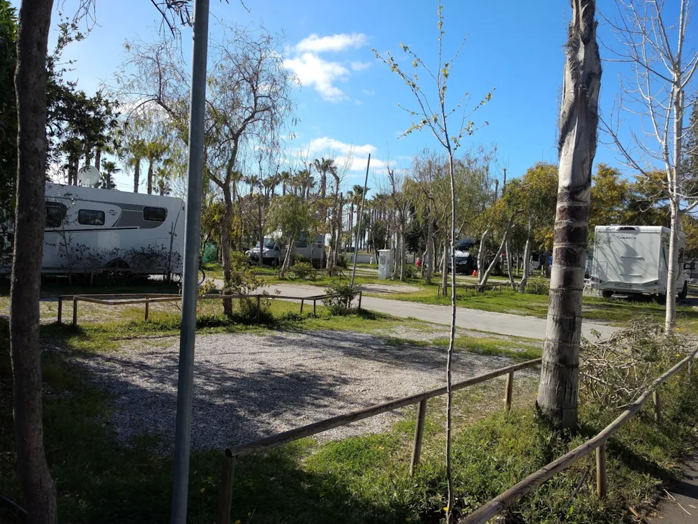 Parcela - Parcela L Standar - Camping Playa de Poniente