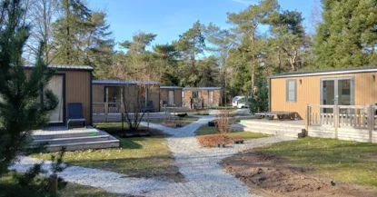 Mobile Home De Vlinder Mobile Home De Vlinder