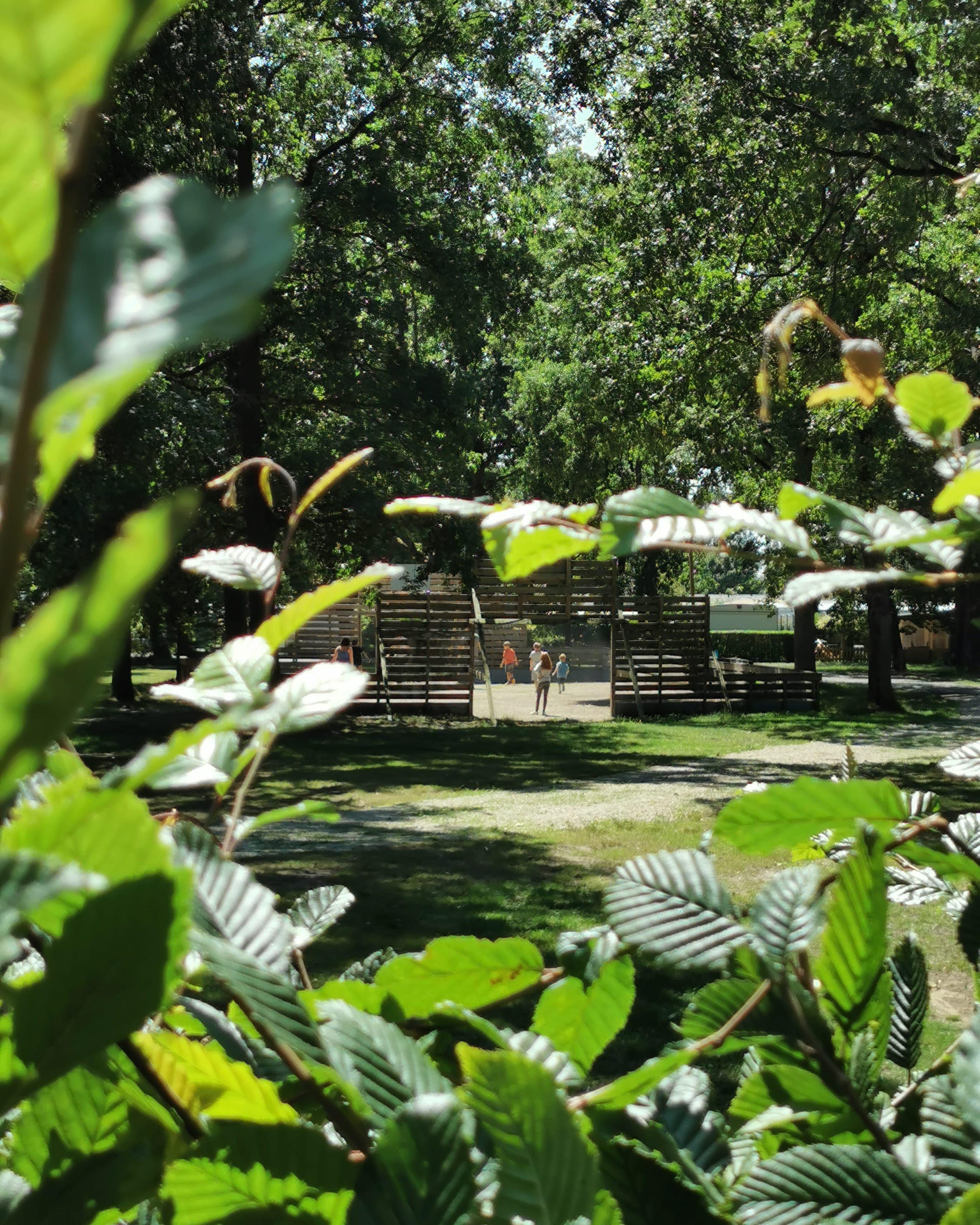 Sport activities Camping De Schuur - Noorderwijk - Herentals Sport activities Camping De Schuur - Noorderwijk - Herentals