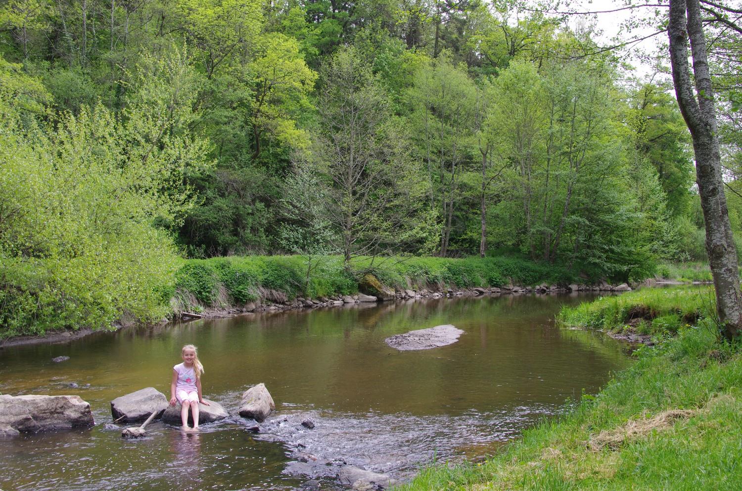 Pitch - Nature Package (1 Tent, Caravan Or Motorhome / 1 Car) - Flower Camping La Rochelambert