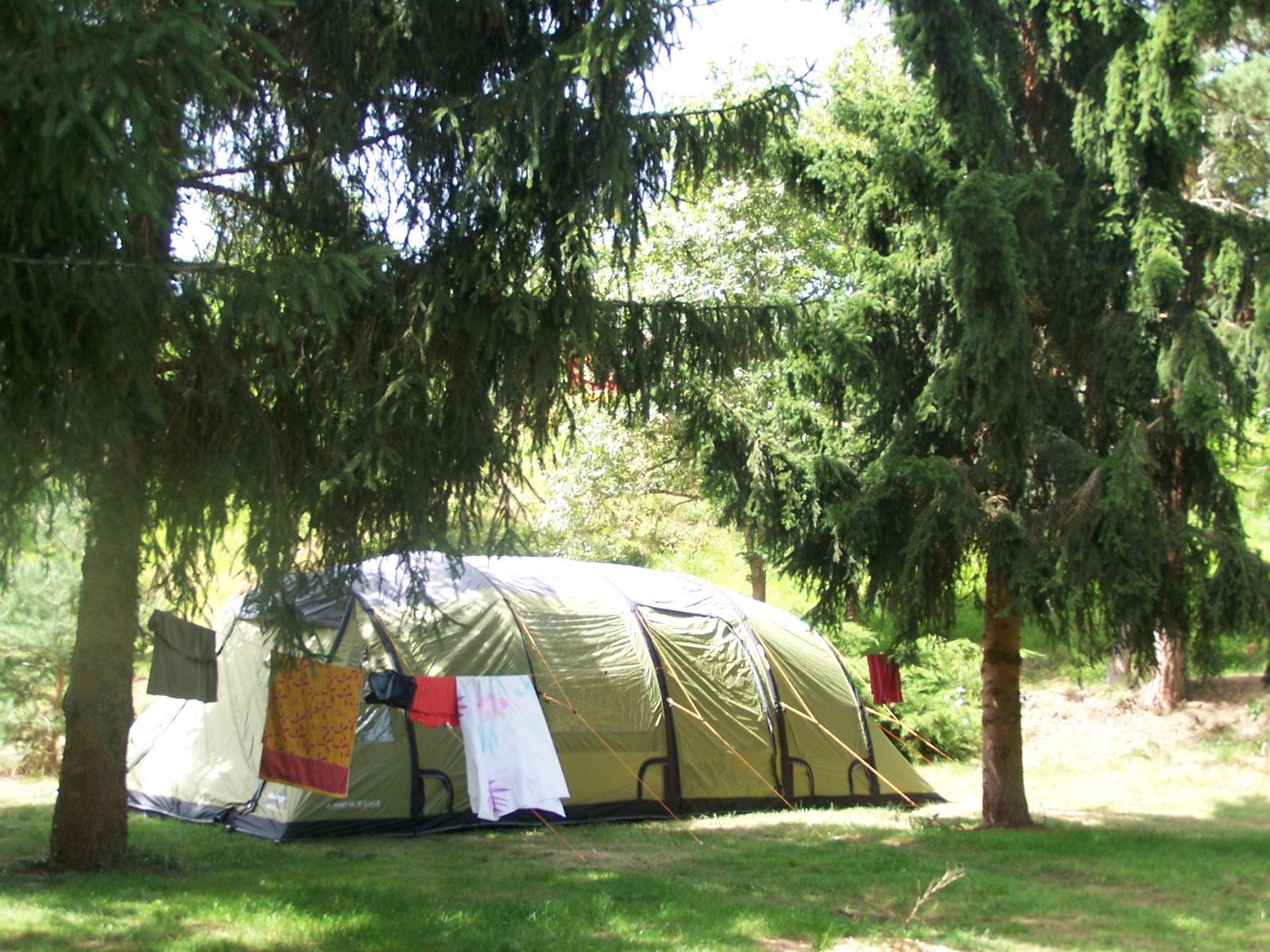Pitch - Nature Package (1 Tent, Caravan Or Motorhome / 1 Car) - Flower Camping La Rochelambert