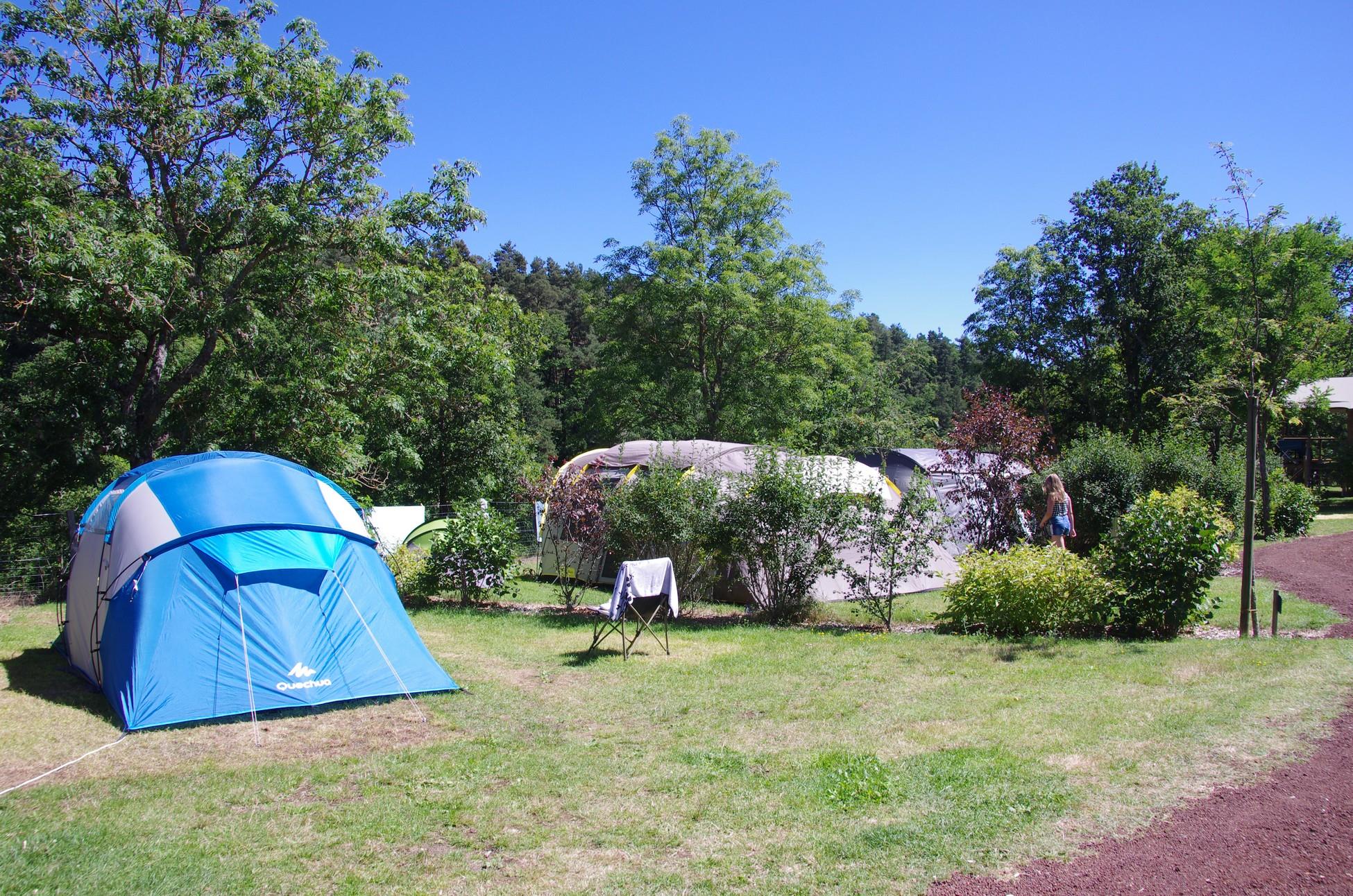 Pitch - Privilège Package (1 Tent, Caravan Or Motorhome / 1 Car / Electricity/ Water On Pitch) - Flower Camping La Rochelambert