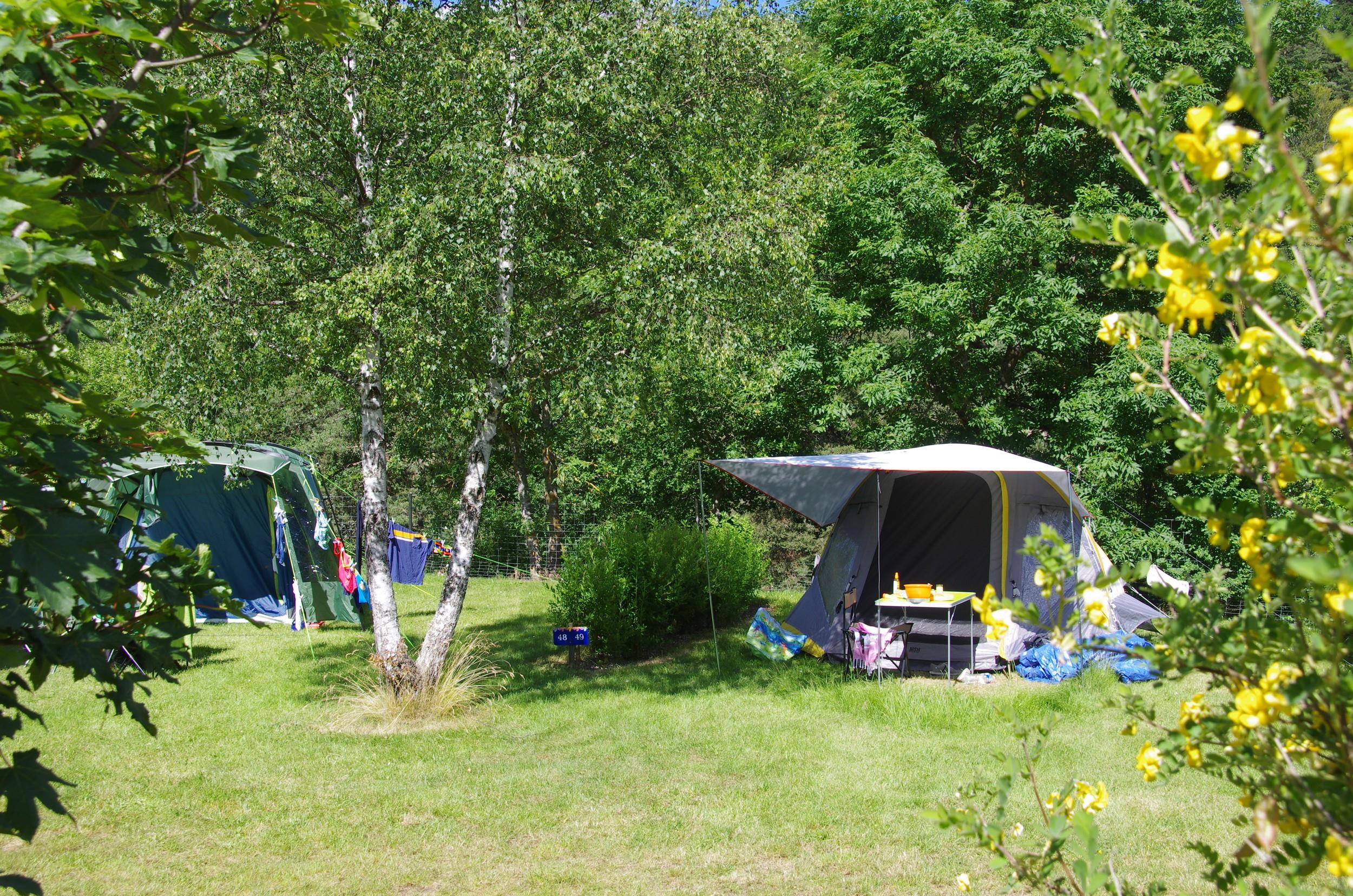 Pitch - Comfort Package (1 Tent, Caravan Or Motorhome / 1 Car / Electricity 16A) - Flower Camping La Rochelambert