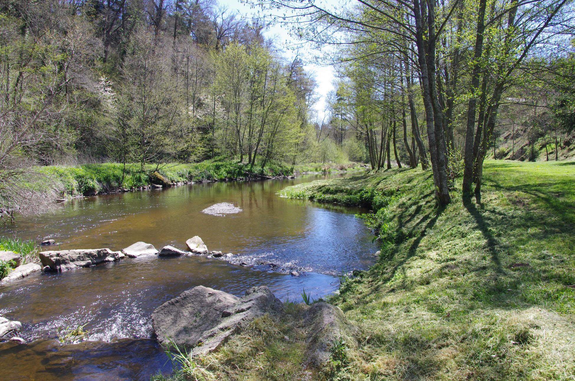 Pitch - Nature Package (1 Tent, Caravan Or Motorhome / 1 Car) - Flower Camping La Rochelambert