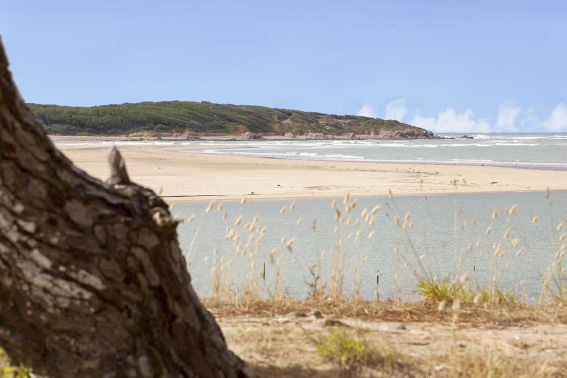 Plages Sea Green - Camping Le Paradis - Talmont Saint Hilaire Plages Sea Green - Camping Le Paradis - Talmont Saint Hilaire