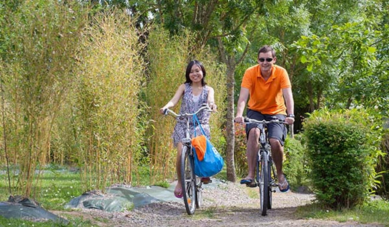 Activités Sea Green - Camping Le Paradis - Talmont Saint Hilaire Activités Sea Green - Camping Le Paradis - Talmont Saint Hilaire