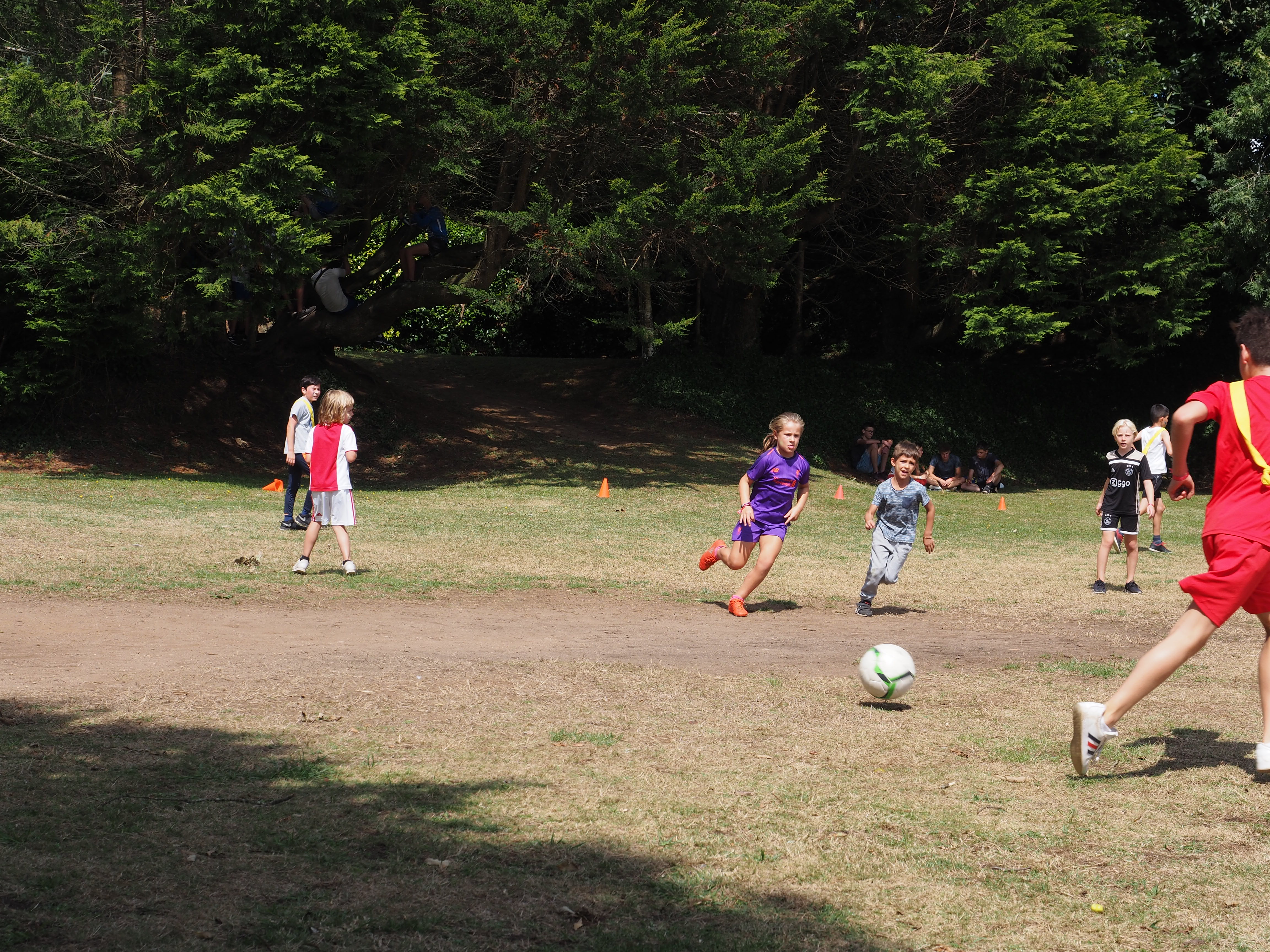 Sport activities Castel Camping Domaine De Bel Air - Landudec Sport activities Castel Camping Domaine De Bel Air - Landudec