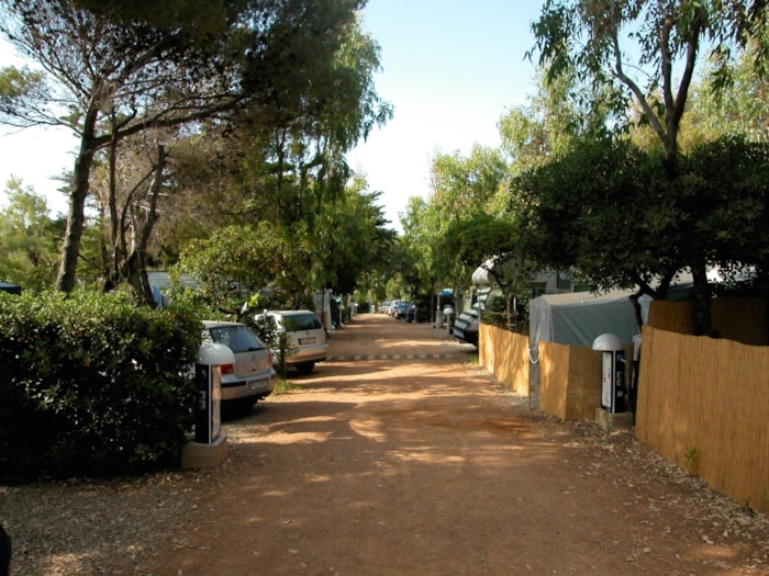 Piazzola Medium